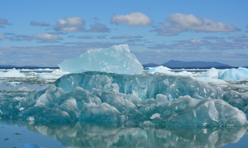 What Is the Critical Habitat Rule